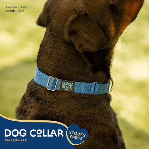 Good Scout Martingale Heavy Duty Dog Collar, Durable Slip-On Collar for Puppies & Adult Dogs, Blue, Large