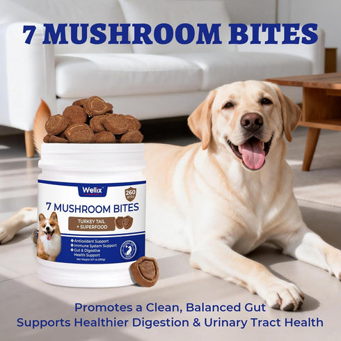 260 Immune, Bites Turkey Tail Mushroom for Dogs - Gut, Skin, Joint Health Mushroom Supplement for Dogs - Turkey Tail