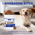 260 Immune, Bites Turkey Tail Mushroom for Dogs - Gut, Skin, Joint Health Mushroom Supplement for Dogs - Turkey Tail