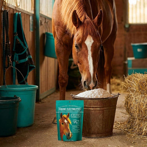 1 lb Celtic Tradition Equine Electrolytes Natural Mineral Salt Supplement for Horses | Replenishes Electrolytes