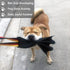 Dewonch Leather Bite Rag for Dog Training - K9 Puppy Toy for Building Prey Drive, Tug of War Game with Handle