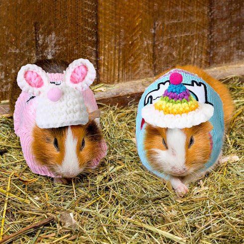 10 Pcs Guinea Pig Stuff Includes 5 Mini Hats & 5 Clothes for Small Animals, Cozy Hand Knitted Set