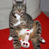420 My Name is Lil Billie, Funny Weed Theme Catnip Toy, Cute Stuffed Parody Pot Bong, Cool Plush Novelty Gift for Pets