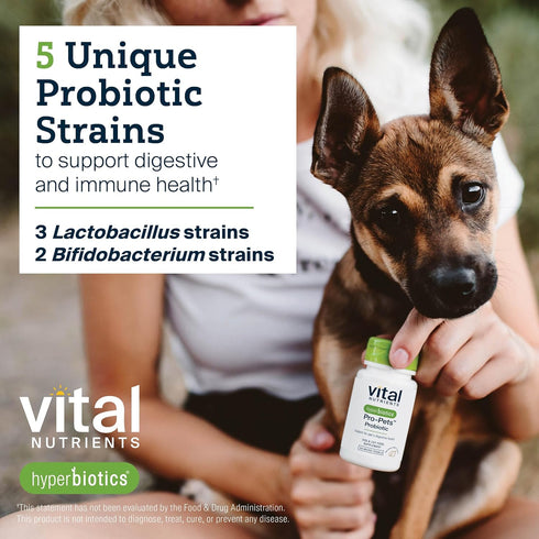 Vital Nutrients Pro Pets Probiotics for Dogs and Cats | Digestive Health, Gut Health, Occasional Diarrhea | 60 Micro