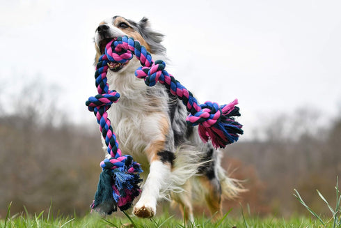 Mammoth Flossy Chews Rope Tug, Premium Cotton-Poly Tug Toy for Dogs, Interactive Rope Toy (Colors May Vary)