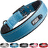 Fida Heavy Duty Dog Collar - Ultra Soft Neoprene Padded, Adjustable Reflective Nylon for Extra-Large Breeds (XL, Blue)