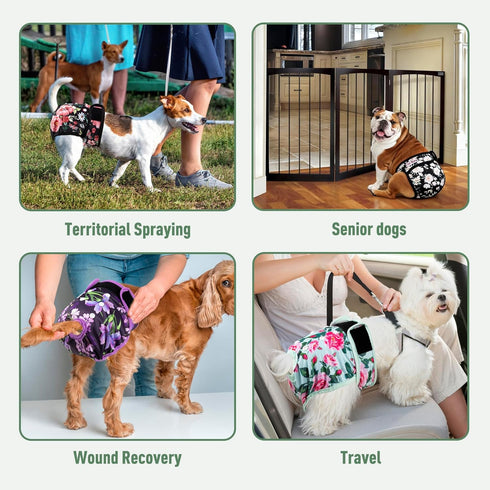 Diapers(5 Pack) Washable Reusable Female Dog Small Medium Large Doggie Puppy & Doggy Dog Diaper, Period Panties in Heat