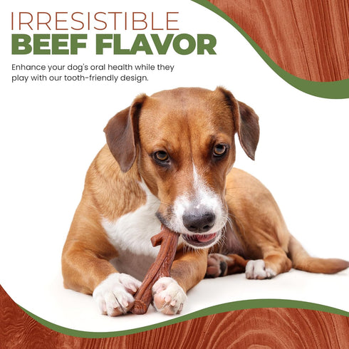 SPOT Bam-Bones Plus Durable Dog Chew Toy for Aggressive Chewers, 9.5in, Beef Flavor, Bamboo Fiber & Nylon