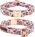 Elegant Little Tail Dog Collar with Flower, Christmas Holiday Pet Collar for X-Large Dogs, Puppy Collar Flower Girl Boy