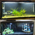 Aquarium Background Blue Black - 2 Sides Fish Tank Wallpaper, 16"x 40" Backdrop