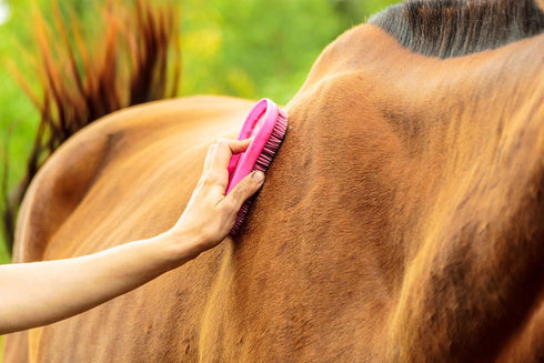 Intrepid International Magic Horse Brush for Grooming Kit, Durable Plastic Bristles, Blue