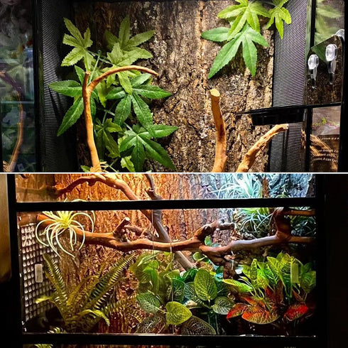 Tfwadmx 2Pcs Terrarium Cork Bark Background, 11.8"x11.8" Thickened Reptile Tank Tree Backdrop Wall Decor for Lizard,