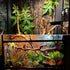 Tfwadmx 2Pcs Terrarium Cork Bark Background, 11.8"x11.8" Thickened Reptile Tank Tree Backdrop Wall Decor for Lizard,
