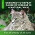 Natural Antibiotics for Cats - Supports Allergy Relief, Itch Relief, and Multivitamin for Cats, 2 Oz