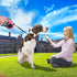 Heavy Duty Retractable Dog Leash, 10FT for Small Dog or Cat up to 26 lbs, 360° Tangle-Free Strong Nylon Tape, Anti-Slip