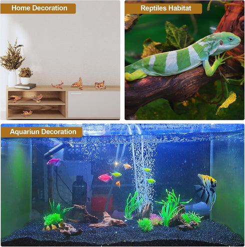 FUNOJOY Assorted Natural Driftwood Decor for Aquarium and Reptile Tank Accessories, 2-10" Wood Branches (Pack of 6)