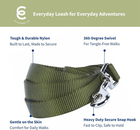 Blueberry Pet Essentials Military Green Dog Leash - 5' * 5/8" Heavy Duty Nylon Lead