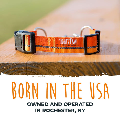 Mighty Paw Martingale Dog Collar 2.0 - Trainer Approved Limited Slip Collar with Heavy Duty Buckle, Large, Orange