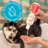 Essential Fatty Acid Deodorizing Conditioner for Dogs (16oz) – Cherry Blossom Scent, Tearless and Soapless