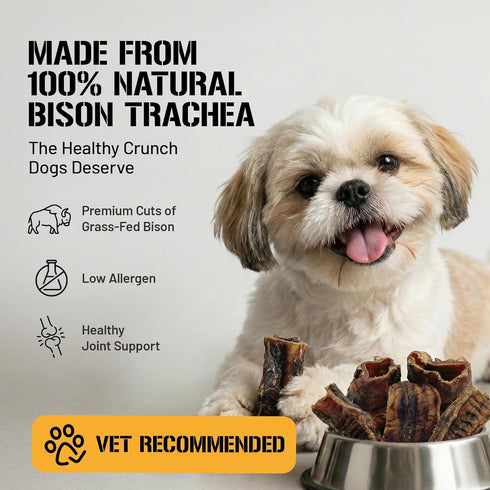 100% 2-3 inch, 8 oz Dog Chits Bison Trachea Dog Treats - Single Ingredient, High Protein, Lower Fat - Glucosamine