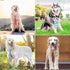 Segarty 30 PCS Adjustable Dog Neckties and Bows for Medium Large Dogs, Festival Formal Accessories
