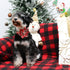 Christmas Dog Collar with Flower, Comfortable Collar for Puppy Girl Boy Dog or Cat, Durable Metal Buckle, XS, Neck