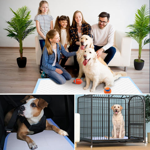 Boscute Jumbo Size 36"x36" Super Absorbent & Leak-Proof Pet Training Dog Pee Pads, Quick Dry Disposable for Dogs Cats