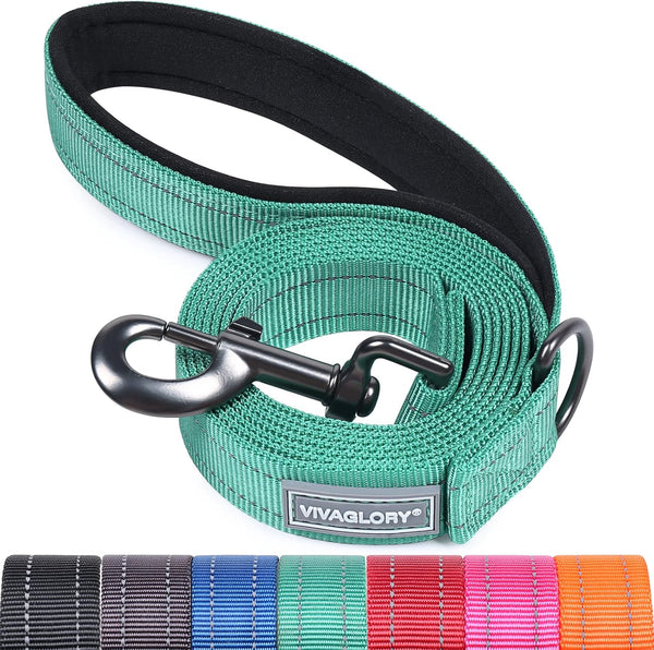 VIVAGLORY Dailyx Dog Leash, Puppy Leash for Training & Walking, Heavy Duty Double Layer Nylon, 6ft x 1in, Green