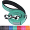 VIVAGLORY Dailyx Dog Leash, Puppy Leash for Training & Walking, Heavy Duty Double Layer Nylon, 6ft x 1in, Green