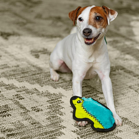 7" Outward Hound Durablez Minis Squeaky Plush Dog Toy, No Stuffing for Less Mess, Interactive & Tough, Jumbo Squeaker