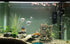 Antique Roman Column Ruins, European Castle Aquarium Decorations for Fish Tank Hideout