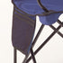 Portable Camping Chair by Coleman - 4-Can Cooler, Cushioned Seat, Side Pocket, Carry Bag