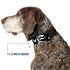 Buckle-Down Dog Collar - Plastic Clip Nightmare Before Christmas Zero Expressions, 11 to 17 Inches, 1.0 Inch Wide