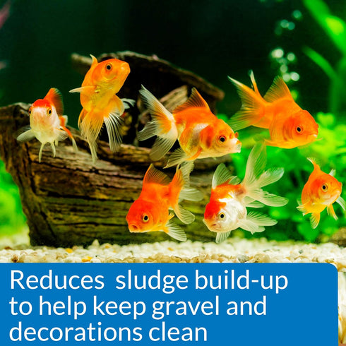 PACK 1.25-Ounce API GOLDFISH CARE Aquarium Water Conditioner Bottle
