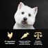 2.7 lb Cesar Small Breed Dry Dog Food for Small Dogs Rotisserie Chicken Flavor and Spring Vegetables Garnish, Bag