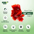 BAC+ Aquarium Probiotics, Immunity Boosting and Digestive System Improvement (BAC+, 105ml)