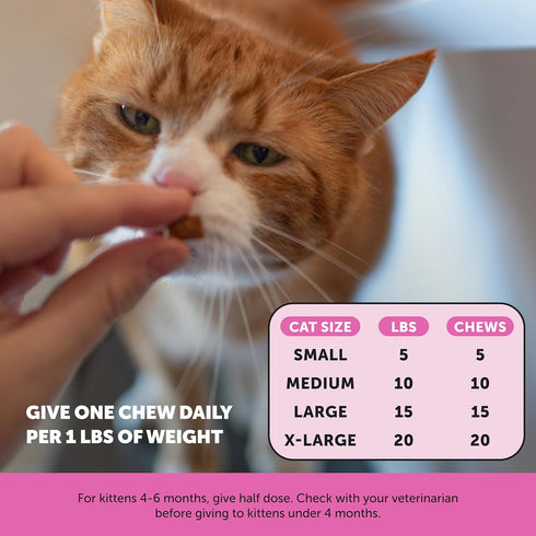 Pet Honesty Cat Multivitamin Chews - Health, Immune, Joint Support, Skin & Coat for Cats, 30-Day Supply