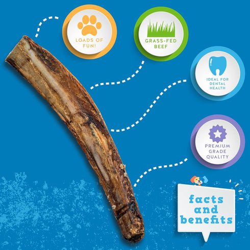 Jack&Pup Rib Bones for Dogs | All Natural Large Dog Bones | Single Ingredient Dog Chew Bones (12 inch, 3 Pack)