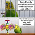 SunGrow Parakeet Toy - Brightly Colored Hanging Toy Made of Rattan, Wood, and Shredded Paper for Small Parrots