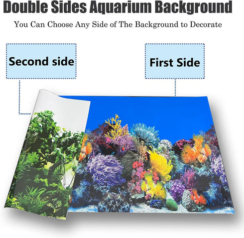 Fish Tank Background - Sea Anemone Coral Theme Double-Sided Poster for Aquarium Wallpaper