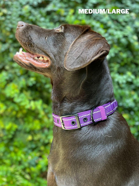 Heavy Duty Dog Collar with Handle, Ballistic Nylon Reflective Collar with Adjustable Stainless Steel Hardware