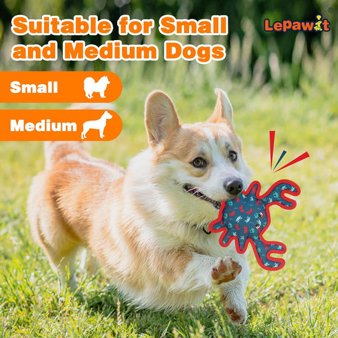 Squeaky Dog Toys, Sturdy Interactive Toys for Indoor Play, Cute Crab for Small and Medium Dogs