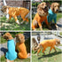 Lovelonglong Four Feet Dog Lightweight Pajamas, Pure Cotton Dog Jumpsuits for Large Medium Small Dogs (Orange XS)