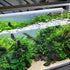 6 PCS Aquarium Lid Clips, 6mm Clear Acrylic Fish Tank Holder for Rimless Glass Top