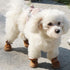 URBEST Dog Shoes with Hook Loop Closure, 4Pcs Booties for Chihuahua, Brown, Size 4#