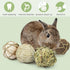andwe Small Animals Play Balls, Rolling Chew Toys & Gnawing Treats for Rabbits, Guinea Pigs, Pack of 4