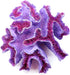 Aquarium Coral Ornaments Decor, Fish Tank Plants Decoration for Aquarium Landscape, Purple