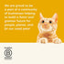 Applaws Natural Wet Cat Food, 8 Count, Limited Ingredient Chicken Variety in Broth, 2.12oz Pots