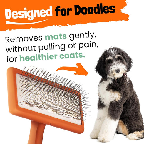 DOODLEEZ Slicker Brush for Dogs - Goldendoodle Brush with Poodle Comb and Cases Included - Goldendoodle Must Haves