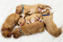16 PCS Adjustable Nylon Puppy Collars with Safety Buckle for Small Puppies, Breakaway ID Whelping Pet Supplies,